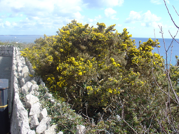DSC04944