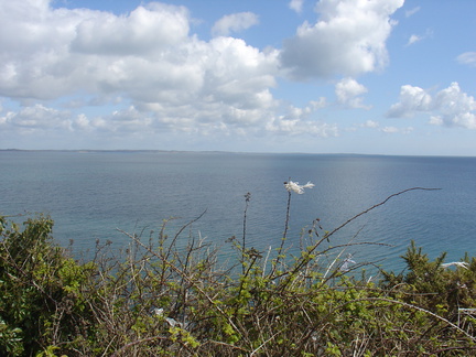 DSC04945