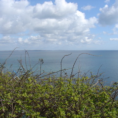 DSC04949