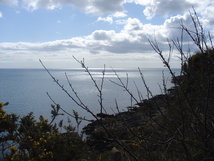 DSC04953