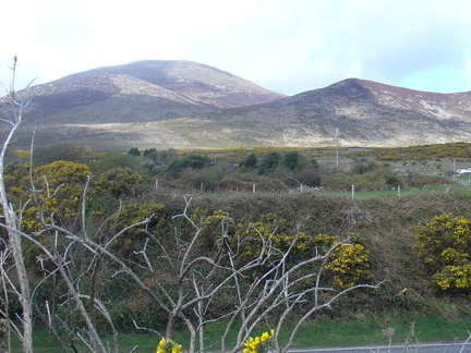 DSC04955