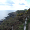 DSC04957