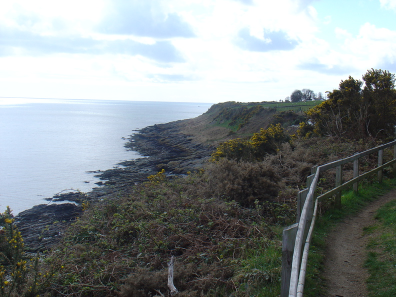 DSC04957