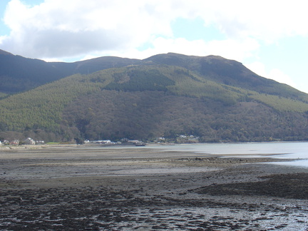 DSC04961