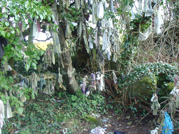 DSC04778
