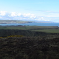 DSC04591