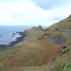 DSC04600