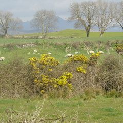 DSC04259