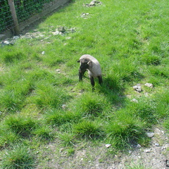 DSC04264