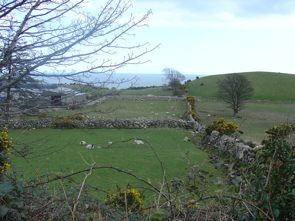 DSC04274