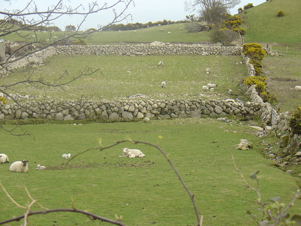 DSC04276