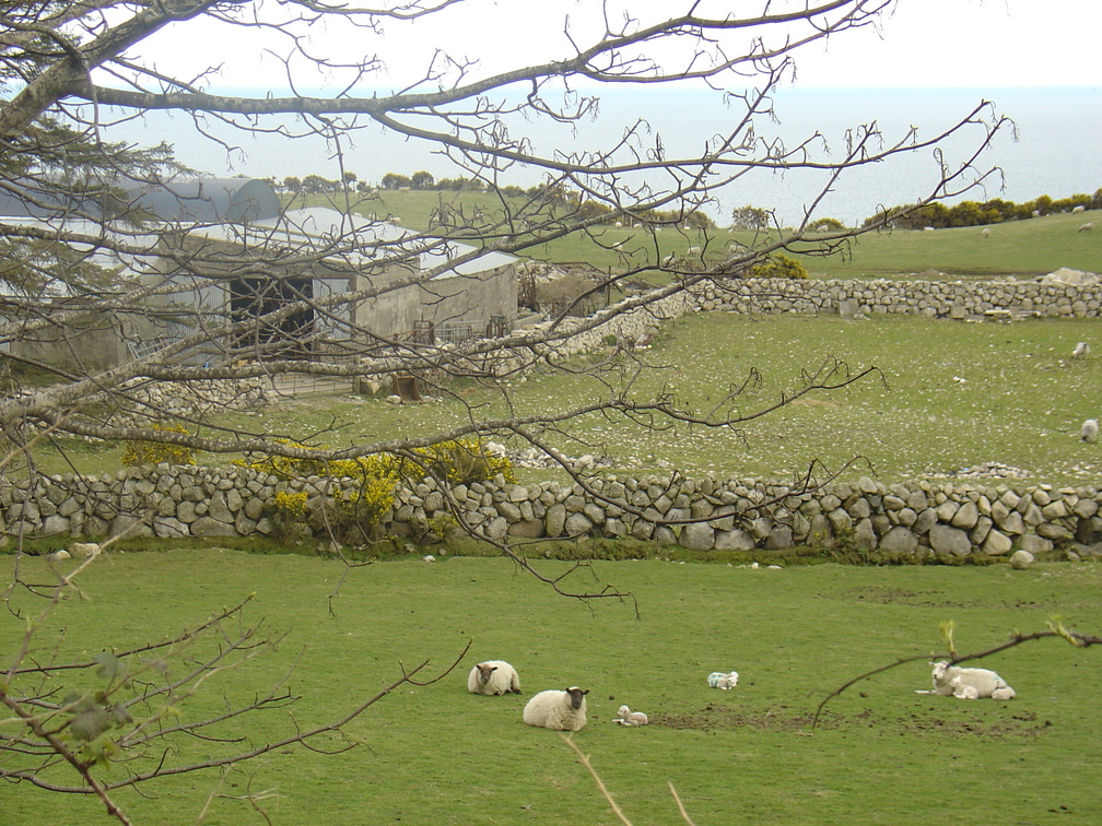 DSC04277
