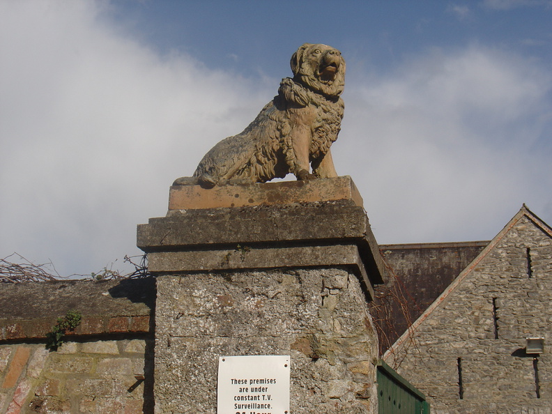 DSC04098.JPG