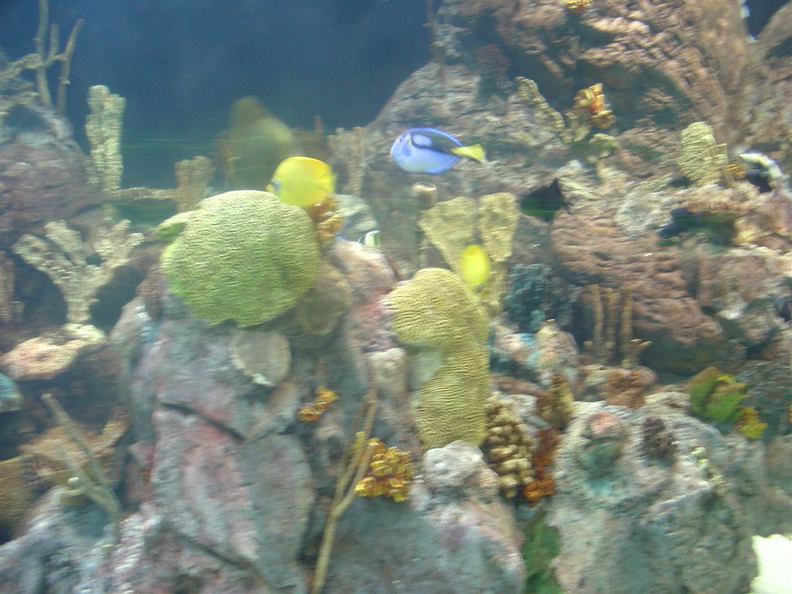 DSC03868.JPG