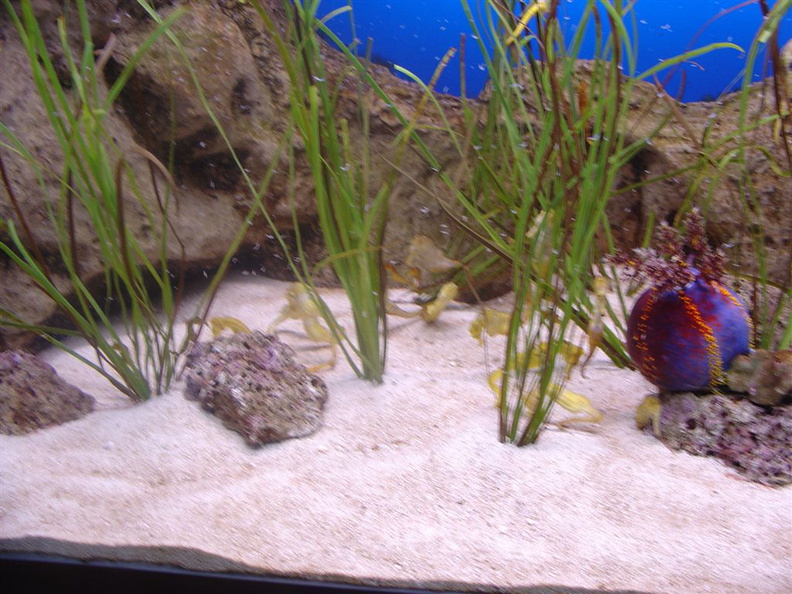 DSC03874.JPG