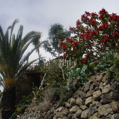 DSC03692