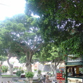 DSC03714
