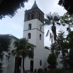 DSC03737
