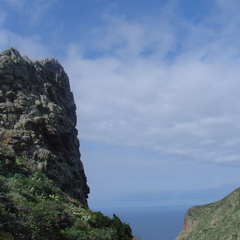 DSC03962