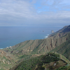DSC03964