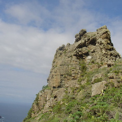 DSC03966