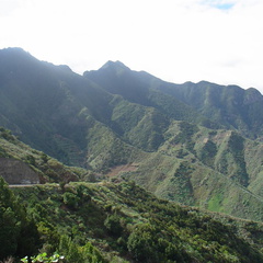 DSC03970
