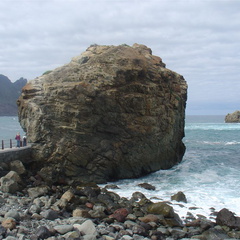 DSC03979