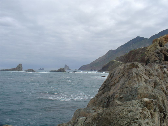 DSC03998