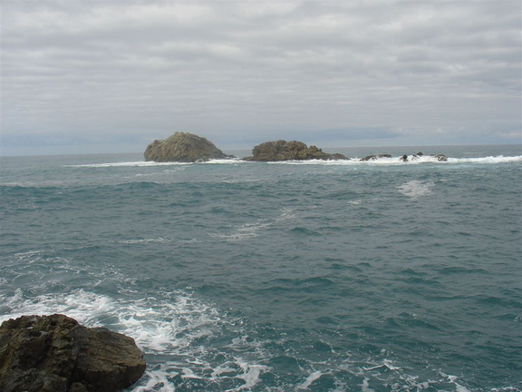 DSC04001