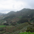 DSC04014