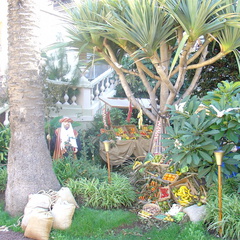 DSC03632