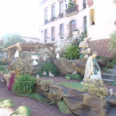 DSC03636