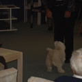 DSC04070