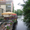 DSC05453