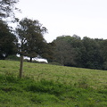 DSC01179