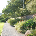 DSC01319