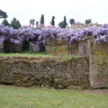DSC00547
