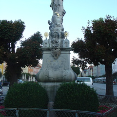 DSC05893