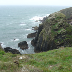 DSC06019
