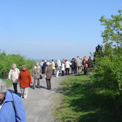 DSC05620