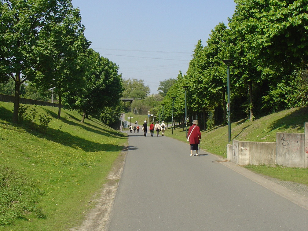 DSC05666