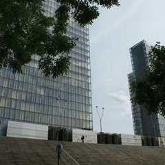 DSC02246