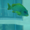 DSC00047