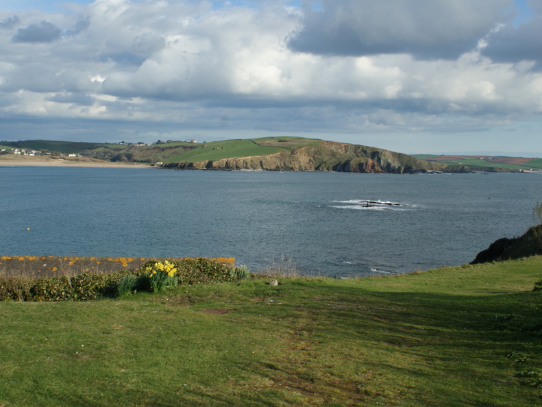DSC03339