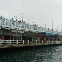 DSC04888