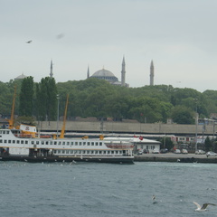 DSC04556