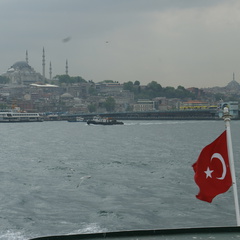 DSC04561