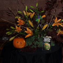DSC00179