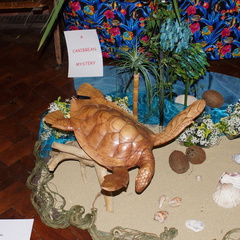 DSC00181