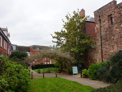 DSC00460